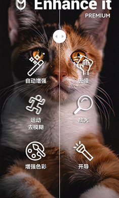 一键老照片智能修复高级版(Enhance It)