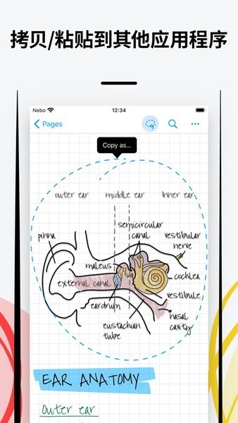 nebo for huawei(Nebo)