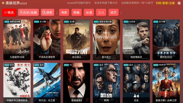 黑枫视界盒子版