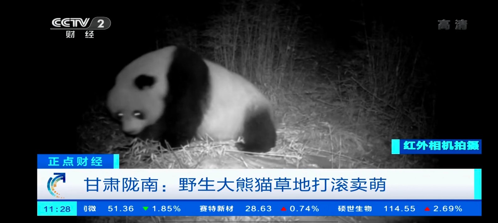 小小TV港澳台版