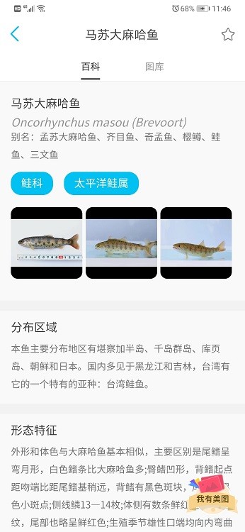看鱼app(拍照识别鱼)