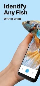 ai拍照识别鱼(Picture Fish)