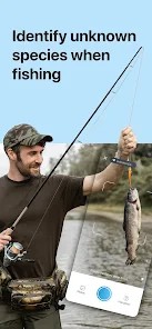 ai拍照识别鱼(Picture Fish)