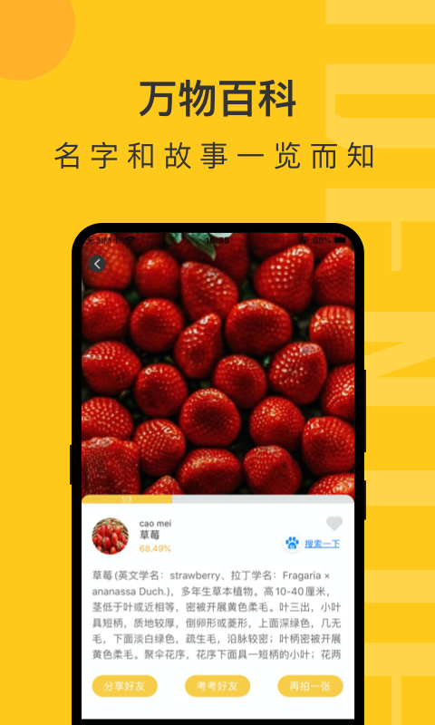 智能实物识别app(拍照识 物)