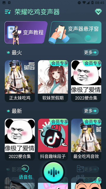 荣耀吃鸡变声器