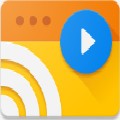 webvideocaster投屏