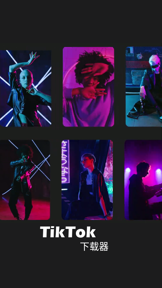 TikTok视频下载器