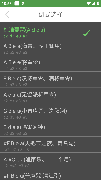 智能琵琶调音器