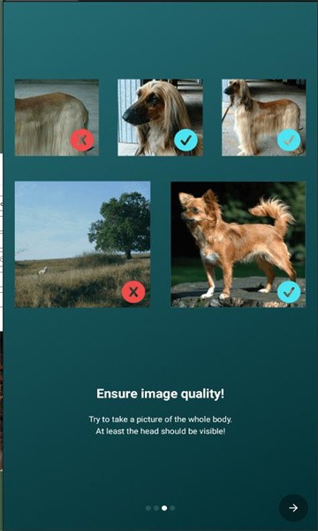 狗狗鉴定器Dog Scanner