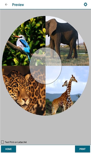 爱普生创意打印