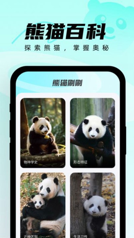 熊猫刷刷app(熊猫百科软件)
