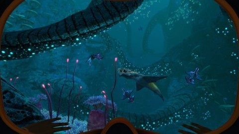 美丽水世界深海迷航