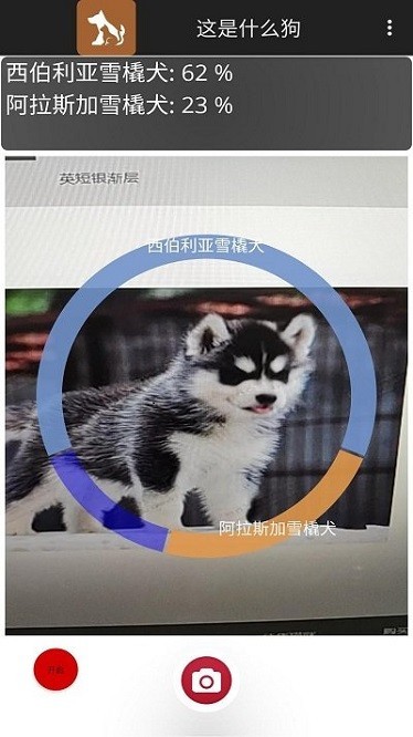这是什么狗Identify Dog Breeds