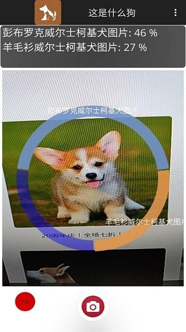 这是什么狗Identify Dog Breeds