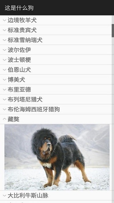 这是什么狗Identify Dog Breeds