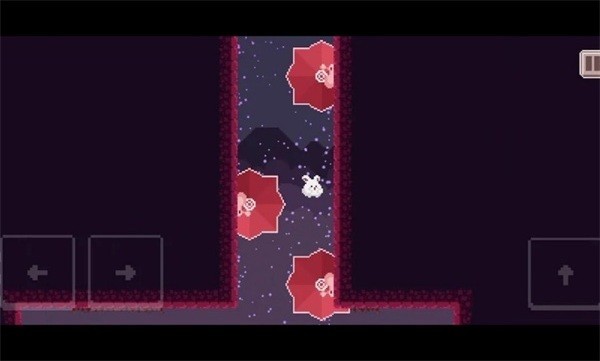 飞翔的兔子Flying Rabbit