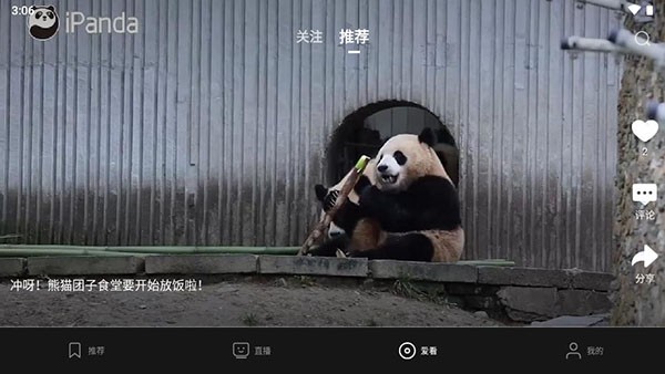 央视影音车载版